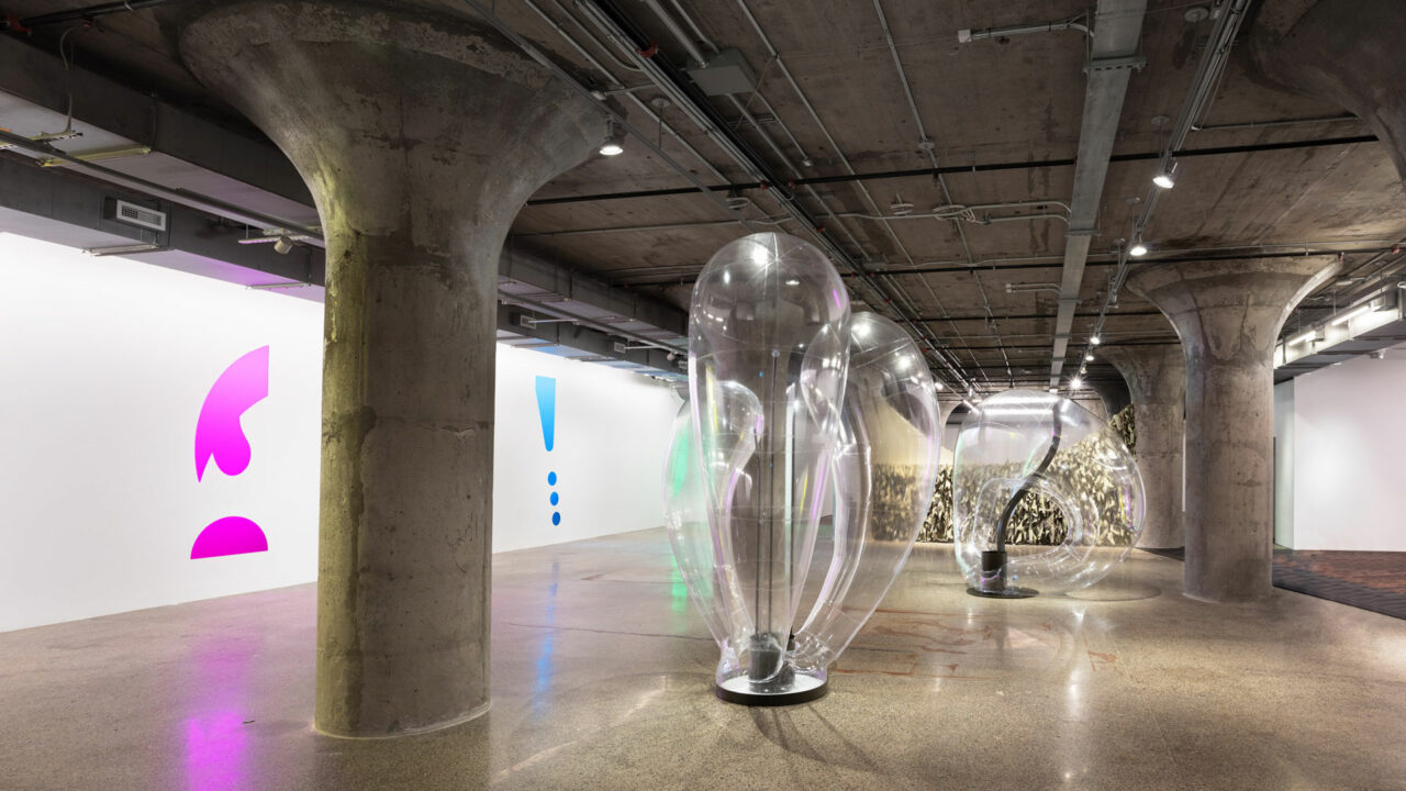 Kapwani Kiwanga - Remediation Installation view