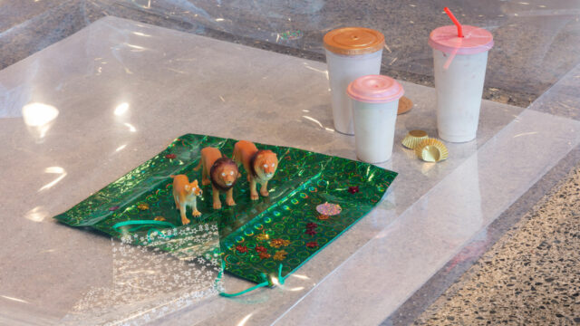 Photo of Liz Magor's work installed in "The Separation"