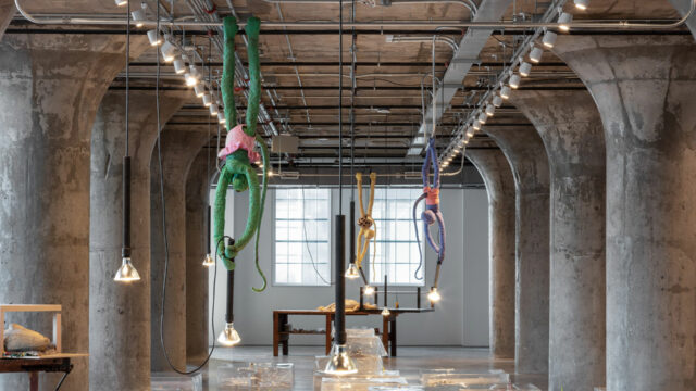 Photo of Liz Magor's exhibition "The Separation"