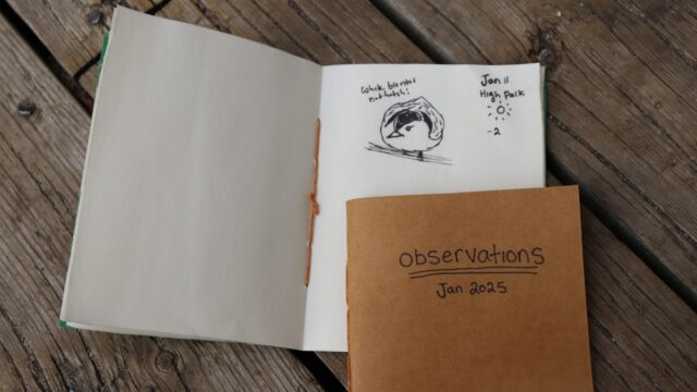 Nature Journalling Workshop