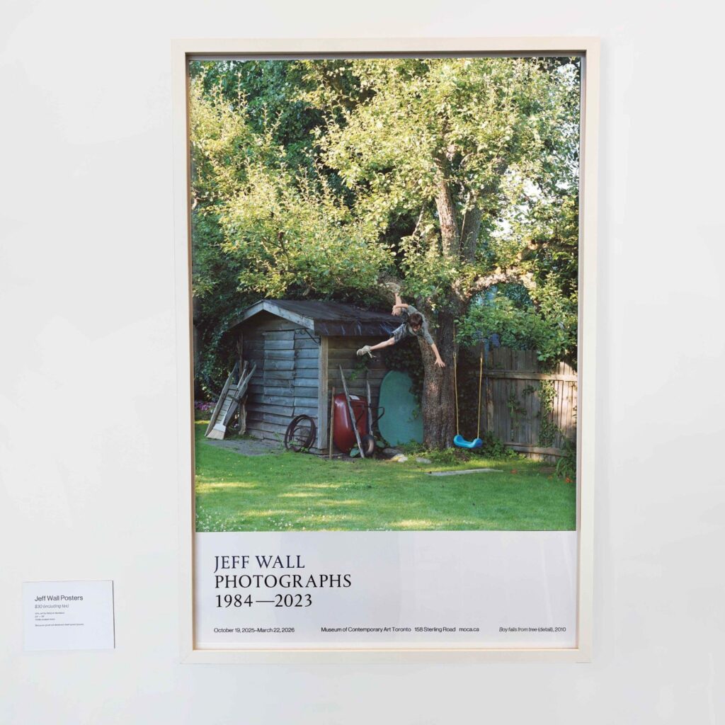 Jeff Wall Poster Boy falls from tree