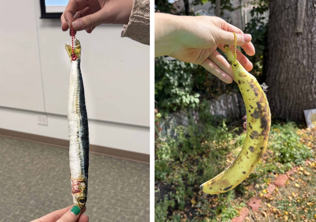 banana and sardine soft sculpture
