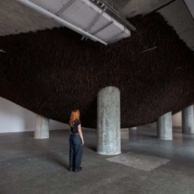Delcy Morelos Ombligo at MOCA